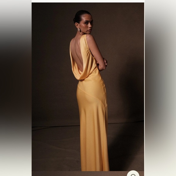 Meshki Nadia dress with back cowl - Picture 2 of 3